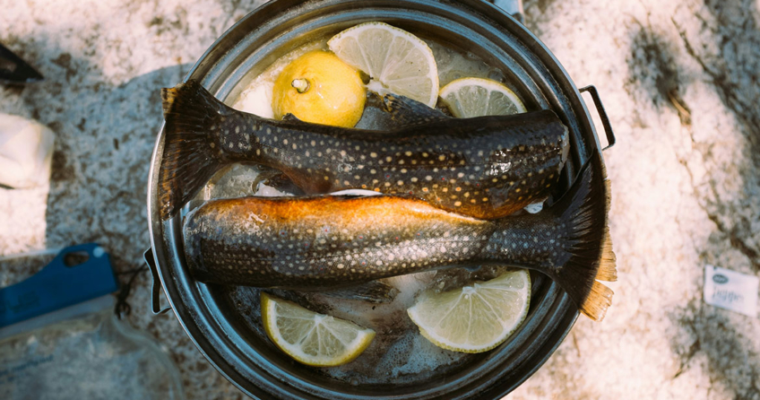 So kann man am Besten eine Forelle räuchern